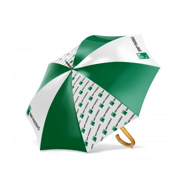 110 parapluie